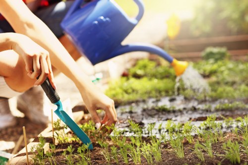Professional lawn mowing service in a well-maintained yard in Lee