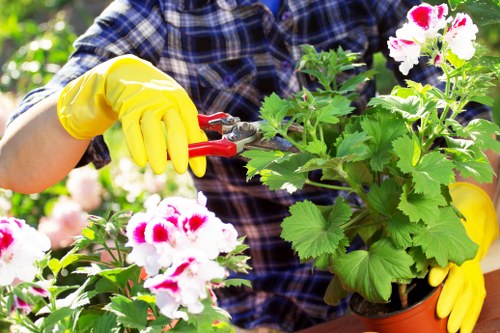 Gardening Lee team sorting garden waste outdoors