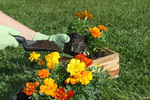 Post-removal landscape maintenance