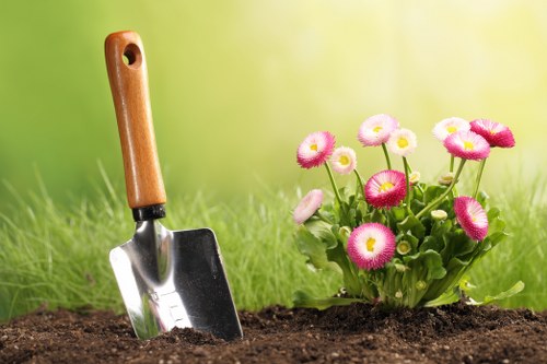 Eco-friendly tree removal practices