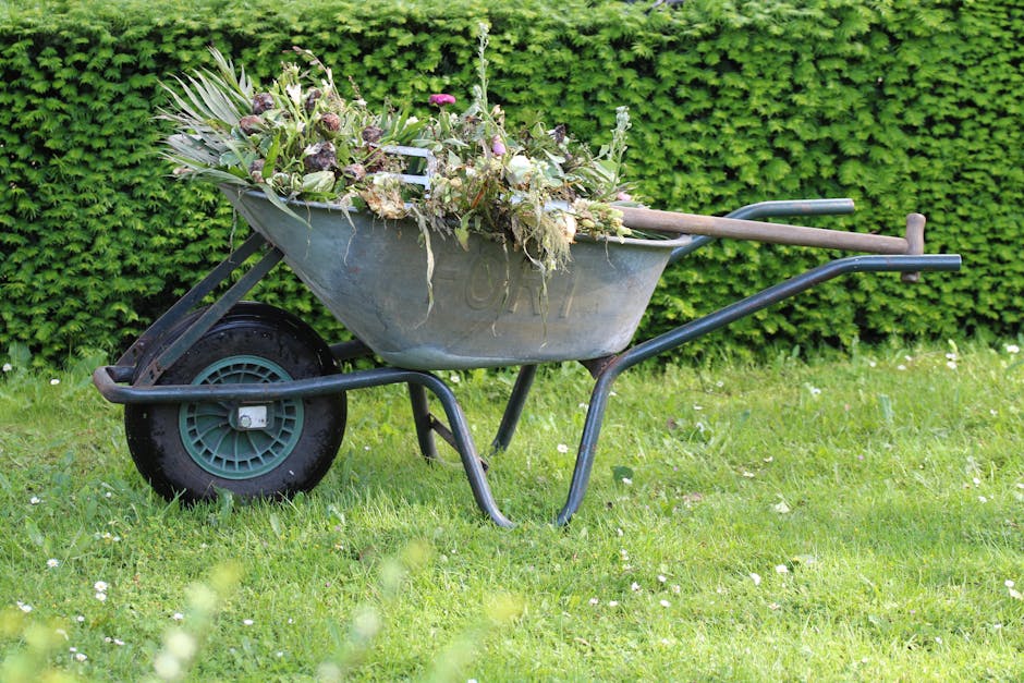 A metal wheelbarrow filled with garden waste such as leaves, plant debris, and twigs, situated on a grassy lawn with small white flowers scattered across the green surface. The wheelbarrow has a singl